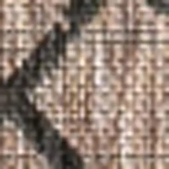 Natural And Black Trellis Indoor Outdoor Area Rug Photo 2