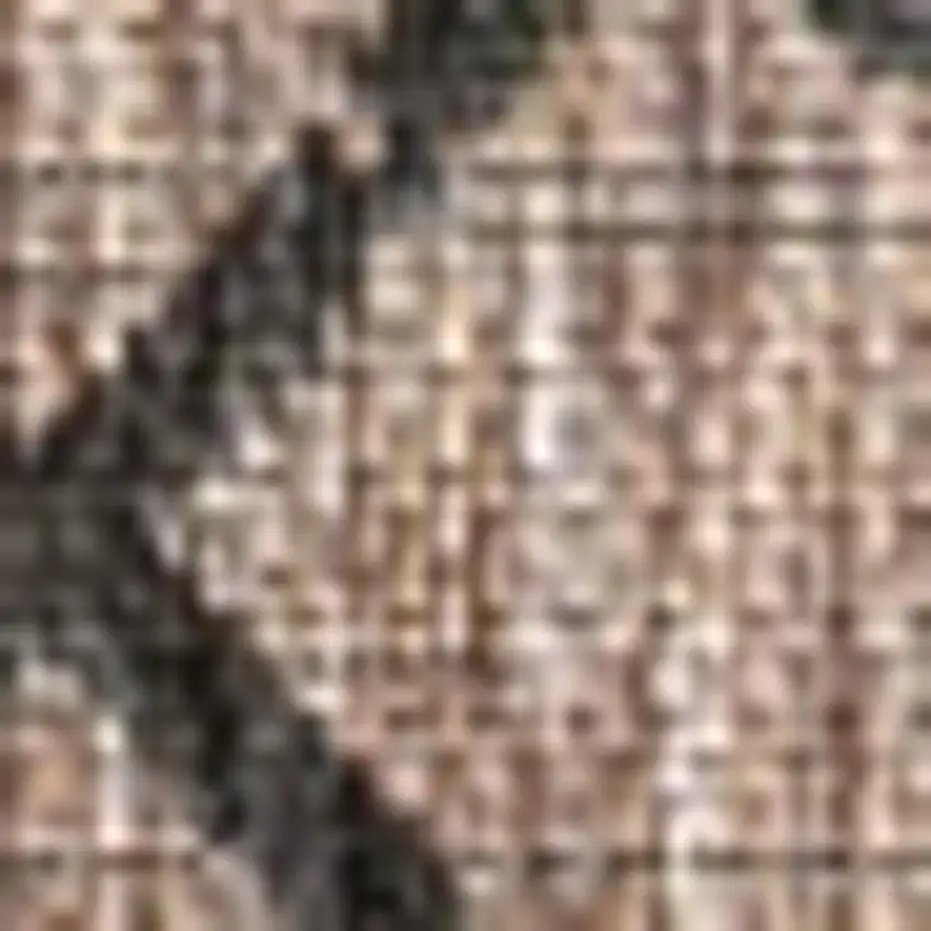 Natural And Black Trellis Indoor Outdoor Area Rug Photo 2