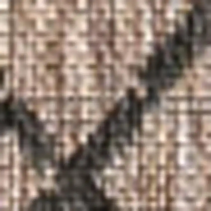 Natural And Black Trellis Indoor Outdoor Area Rug Photo 2