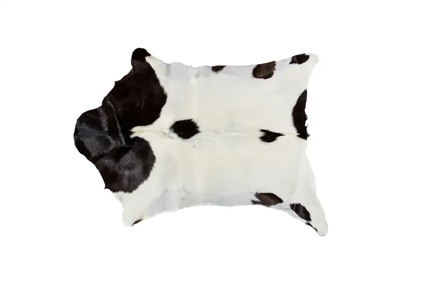 Natural Black And White Calfskin Area Rug Photo 6