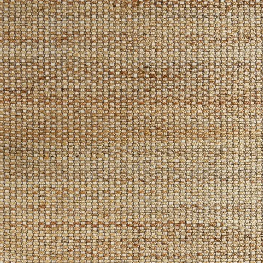 Natural Jute Hand Woven Area Rug Photo 3