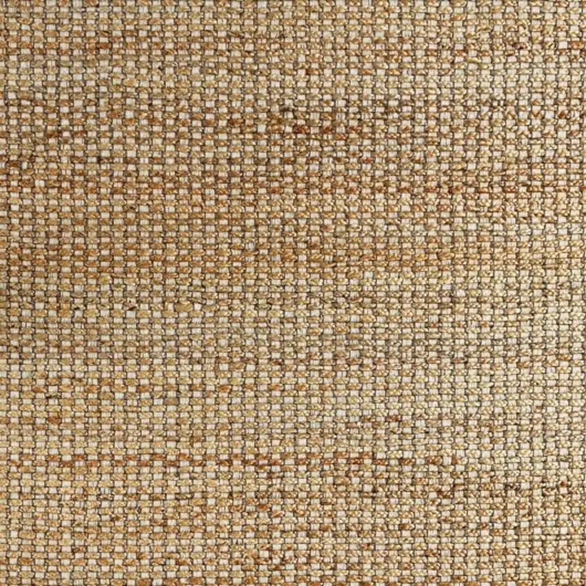 Natural Jute Hand Woven Area Rug Photo 3