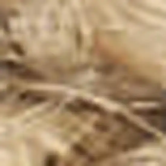 Natural Jute Flatweave Handmade Area Rug Photo 2