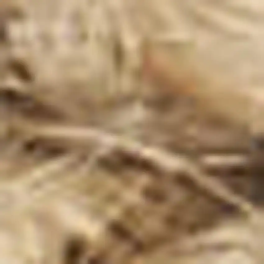 Natural Jute Flatweave Handmade Area Rug Photo 7