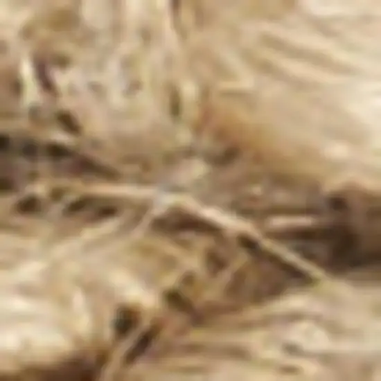 Natural Jute Flatweave Handmade Area Rug Photo 3