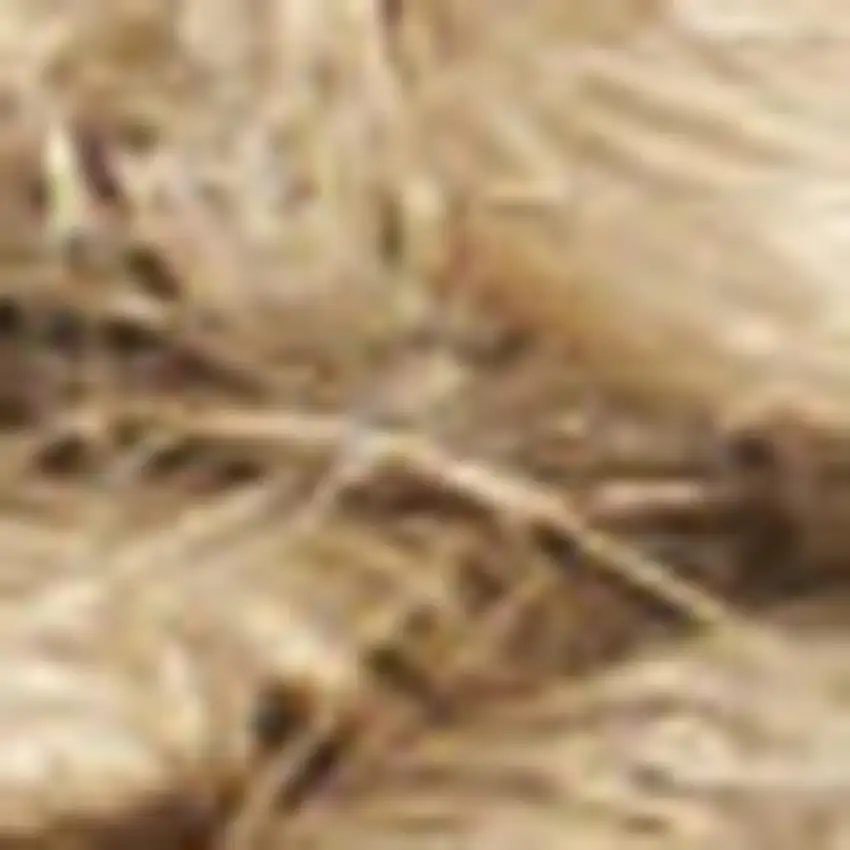 Natural Jute Flatweave Handmade Area Rug Photo 3