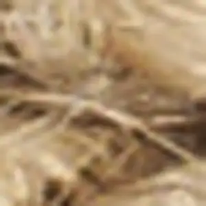 Photo of Natural Jute Flatweave Handmade Area Rug