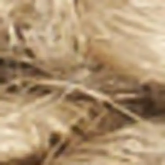 Natural Jute Flatweave Handmade Area Rug Photo 7