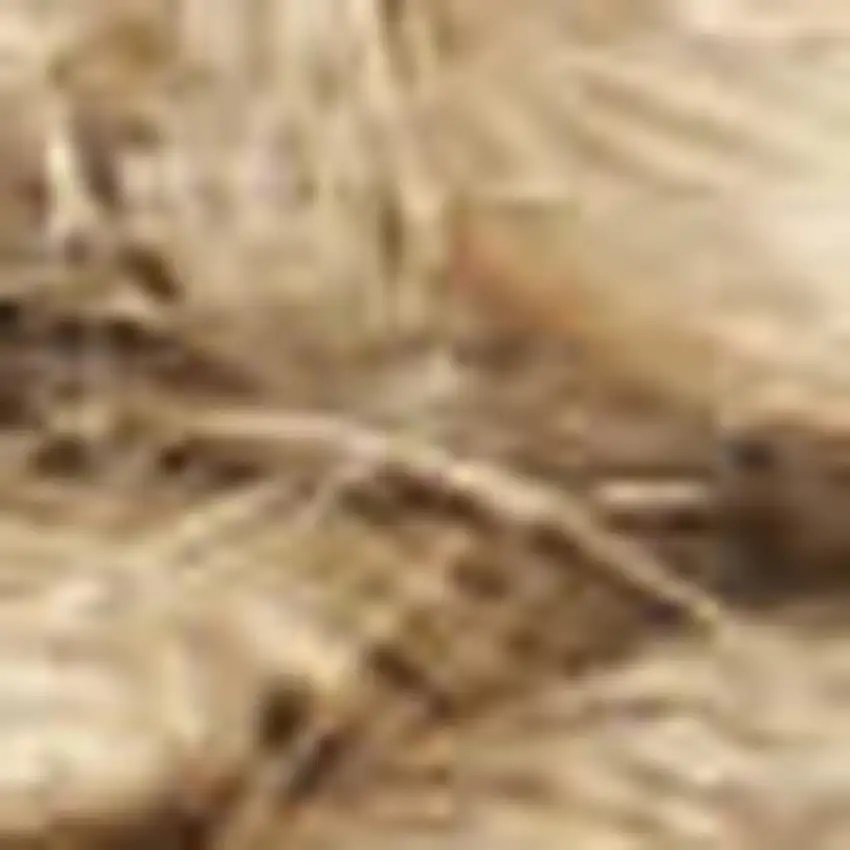 Natural Jute Flatweave Handmade Area Rug Photo 3