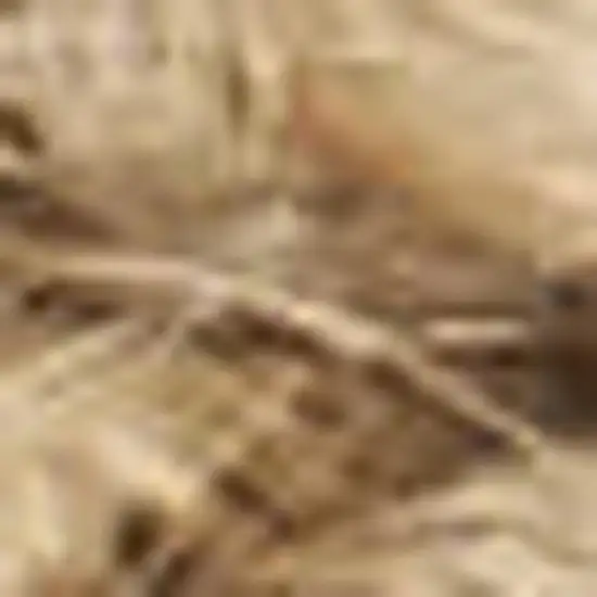 Natural Jute Flatweave Handmade Area Rug Photo 7