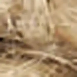 Photo of Natural Jute Flatweave Handmade Area Rug