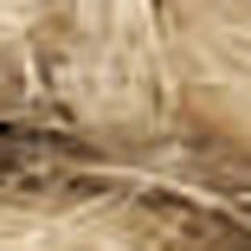 Natural Jute Flatweave Handmade Area Rug Photo 2