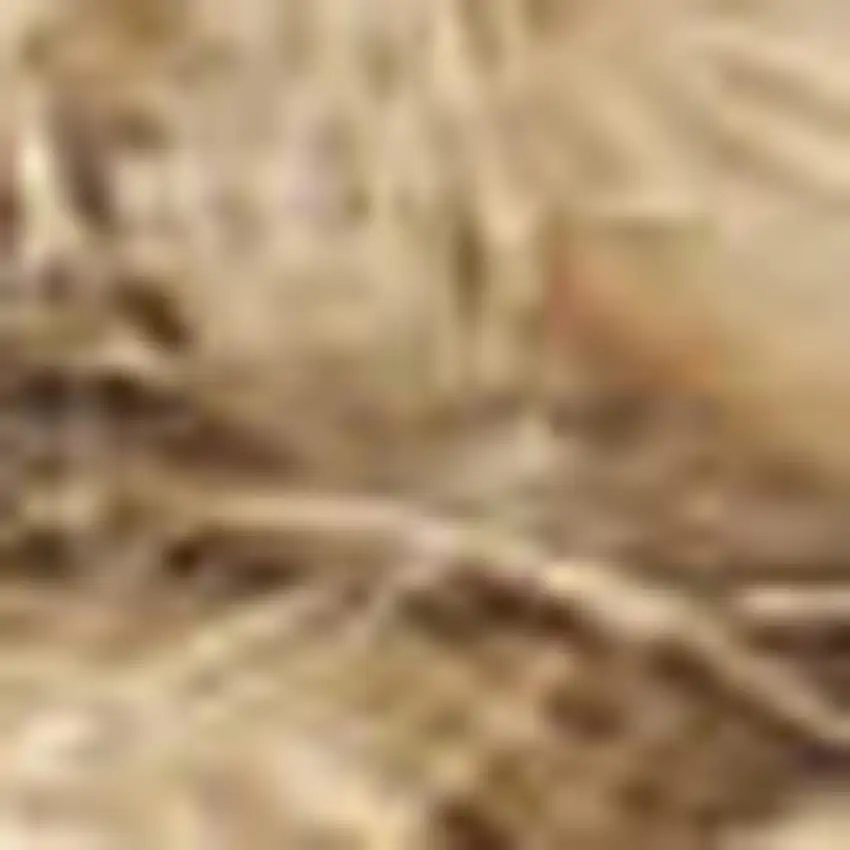 Natural Jute Flatweave Handmade Area Rug Photo 2