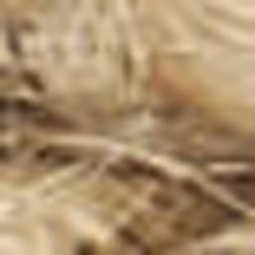 Natural Jute Flatweave Handmade Area Rug Photo 7