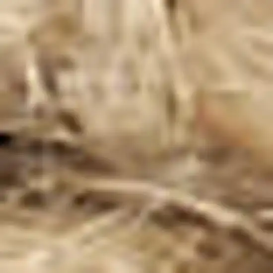 Natural Jute Flatweave Handmade Area Rug Photo 6