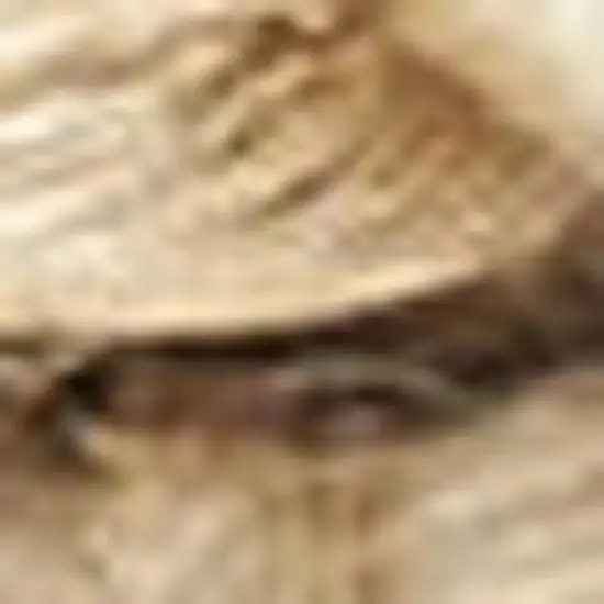 Natural Jute Flatweave Handmade Area Rug Photo 3