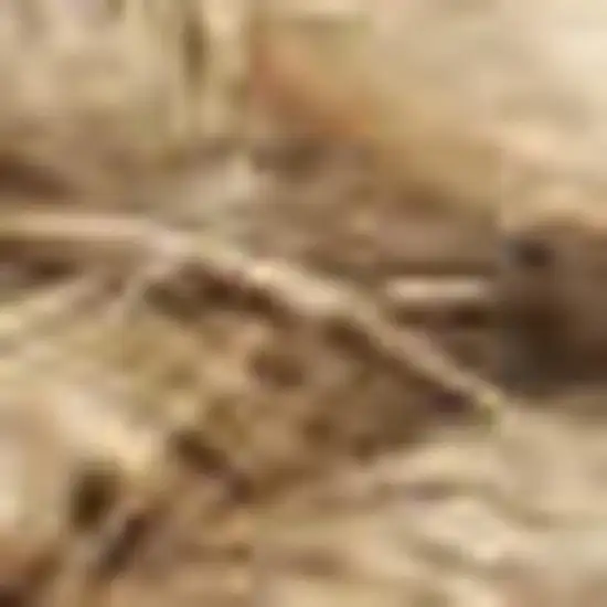 Natural Jute Flatweave Handmade Area Rug Photo 7