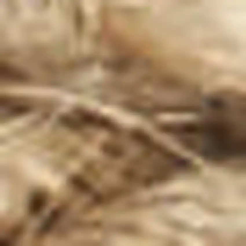 Natural Jute Flatweave Handmade Area Rug Photo 7