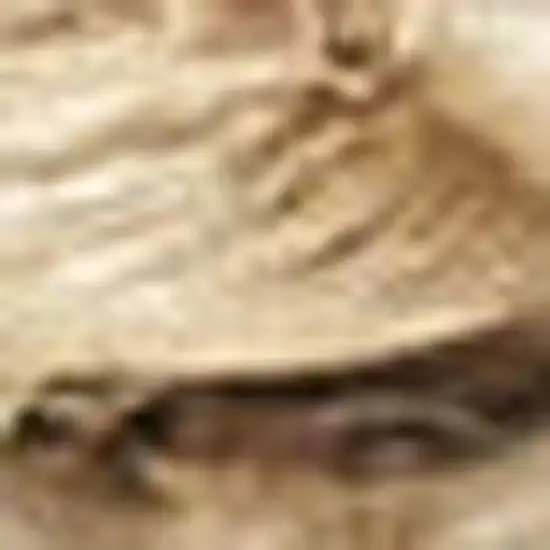 Natural Jute Flatweave Handmade Area Rug Photo 3