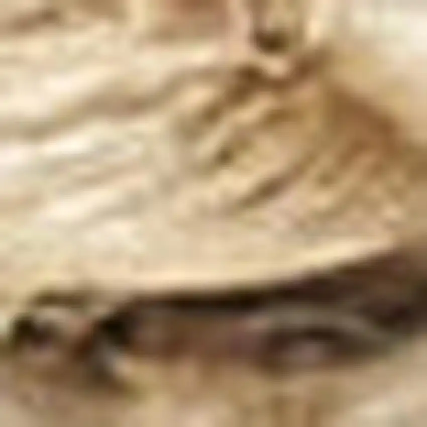 Natural Jute Flatweave Handmade Area Rug Photo 3