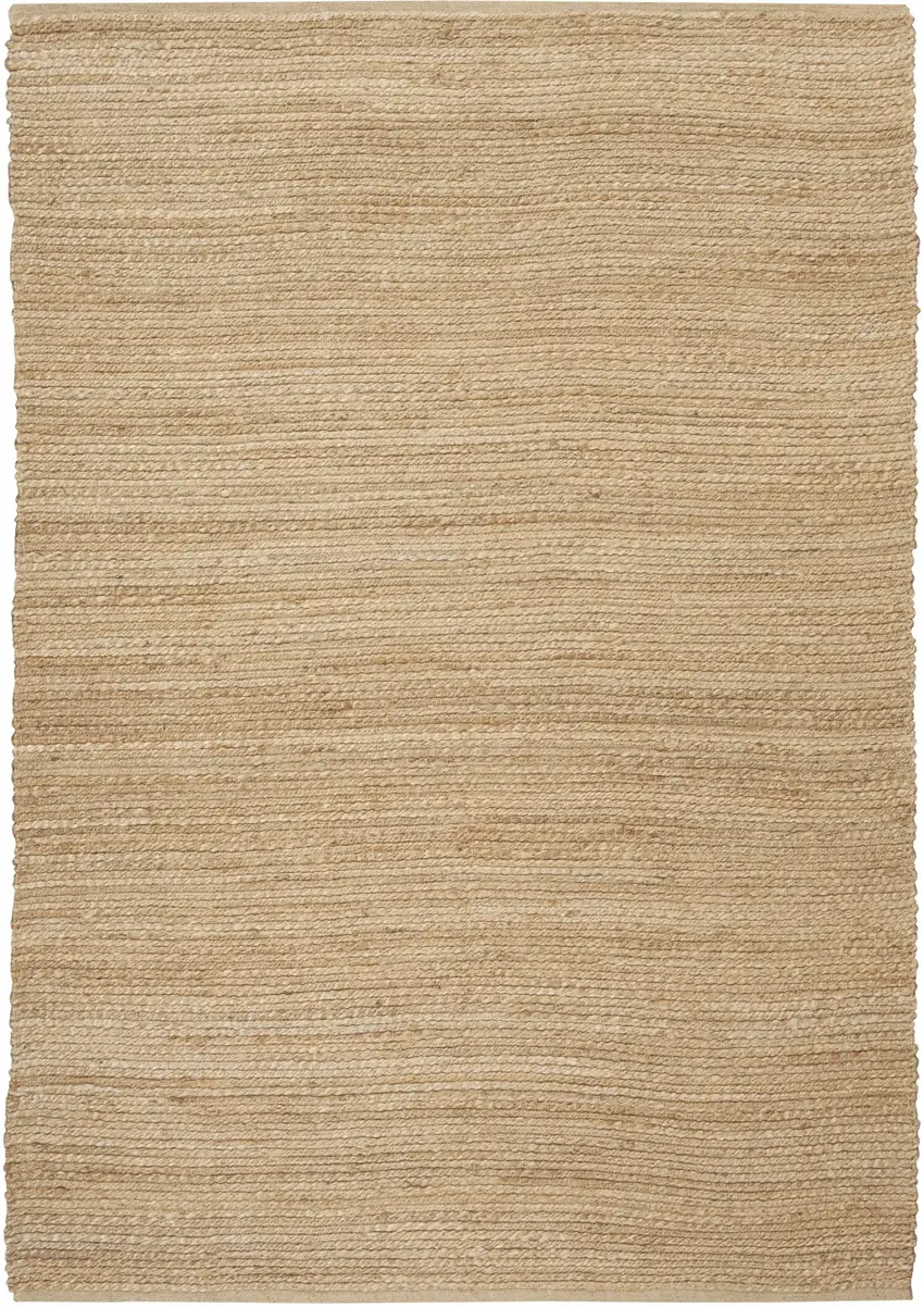 Natural Jute Flatweave Handmade Area Rug Photo 2