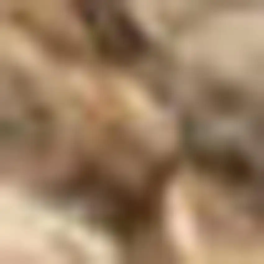 Natural Jute Handmade Area Rug Photo 3