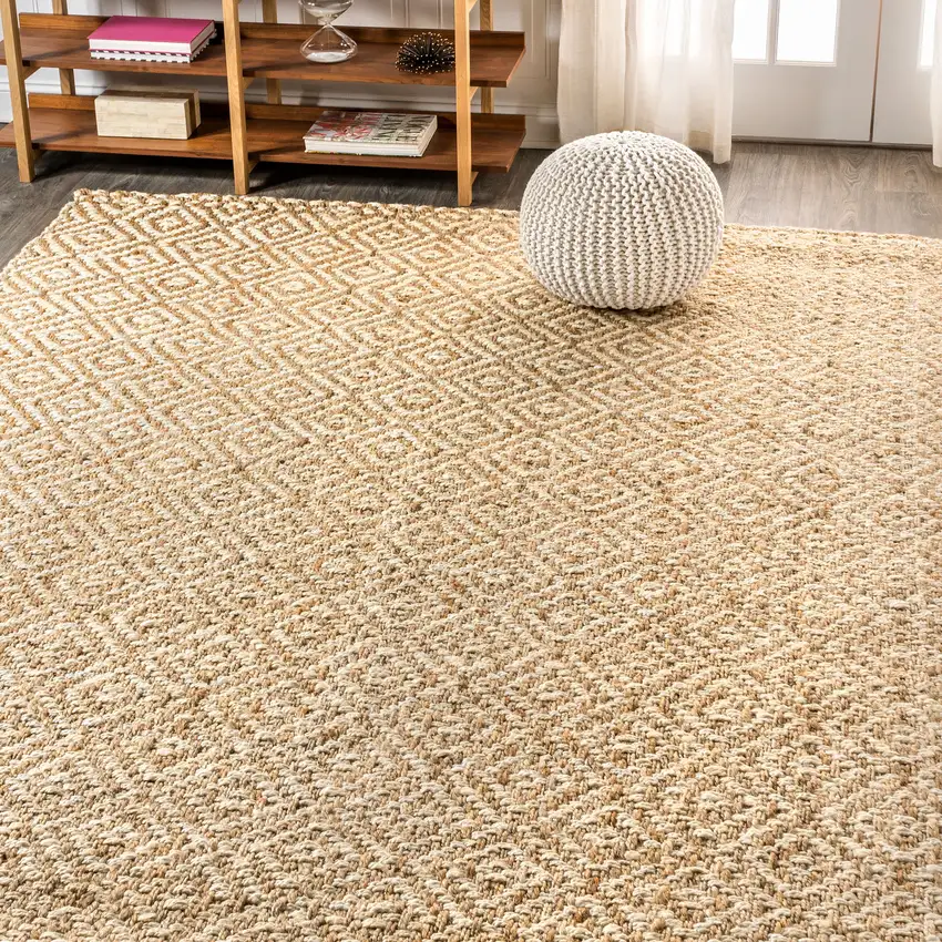 Natural Jute Handmade Area Rug Photo 8