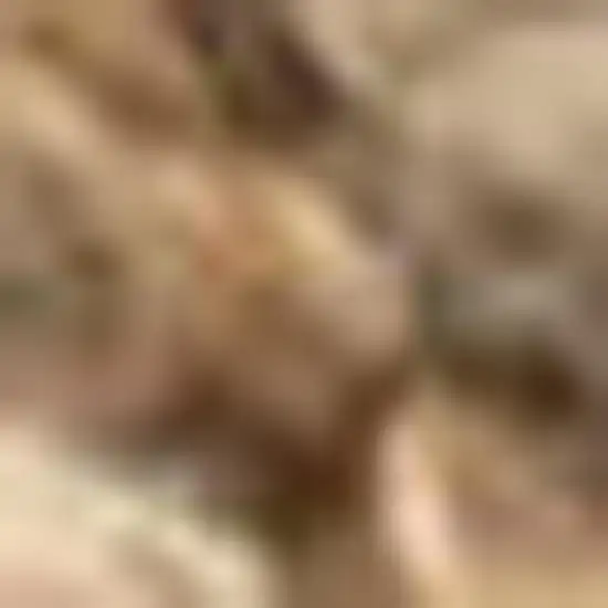 Natural Jute Handmade Area Rug Photo 3