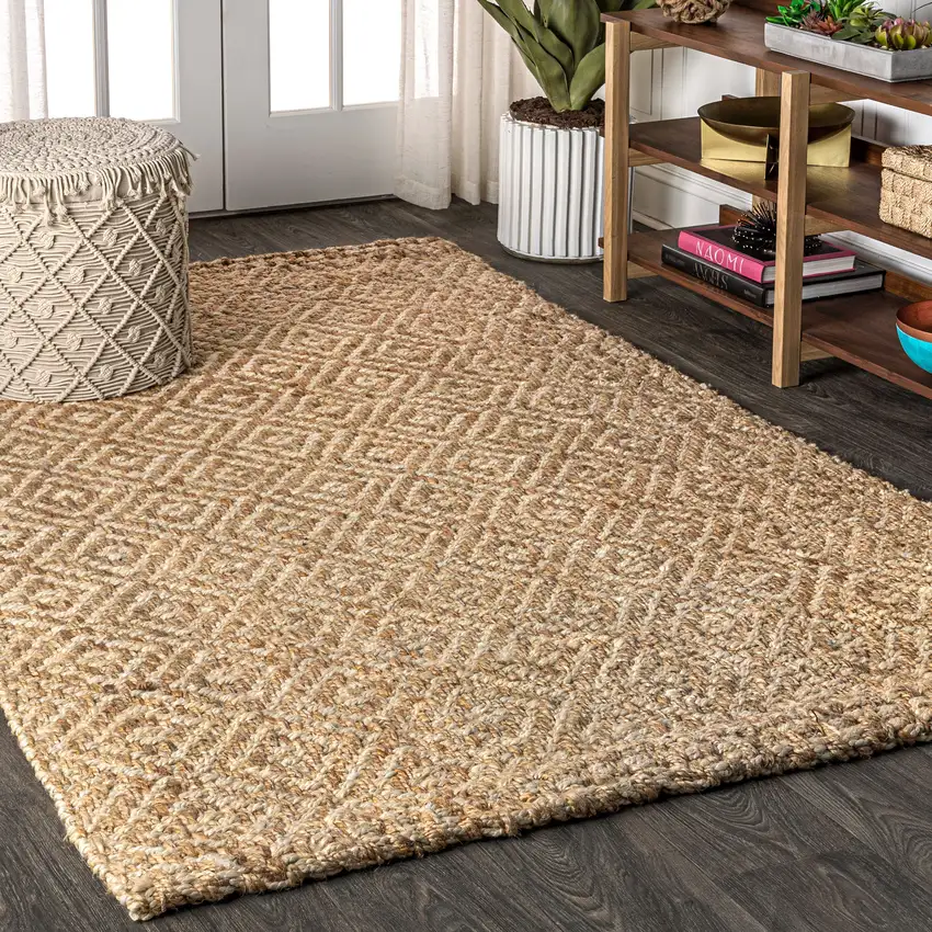 Natural Jute Handmade Area Rug Photo 5