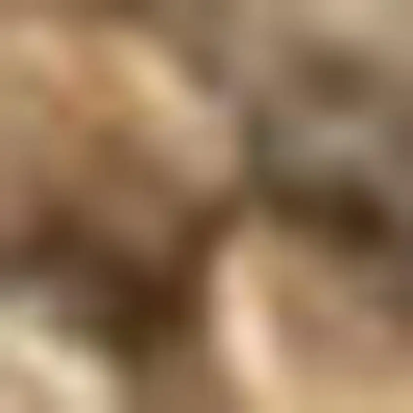 Natural Jute Handmade Area Rug Photo 3