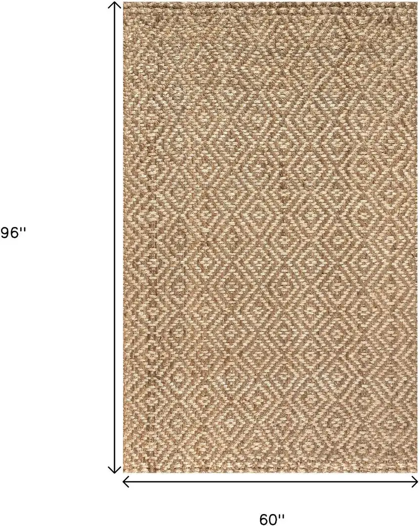 Natural Jute Handmade Area Rug Photo 7