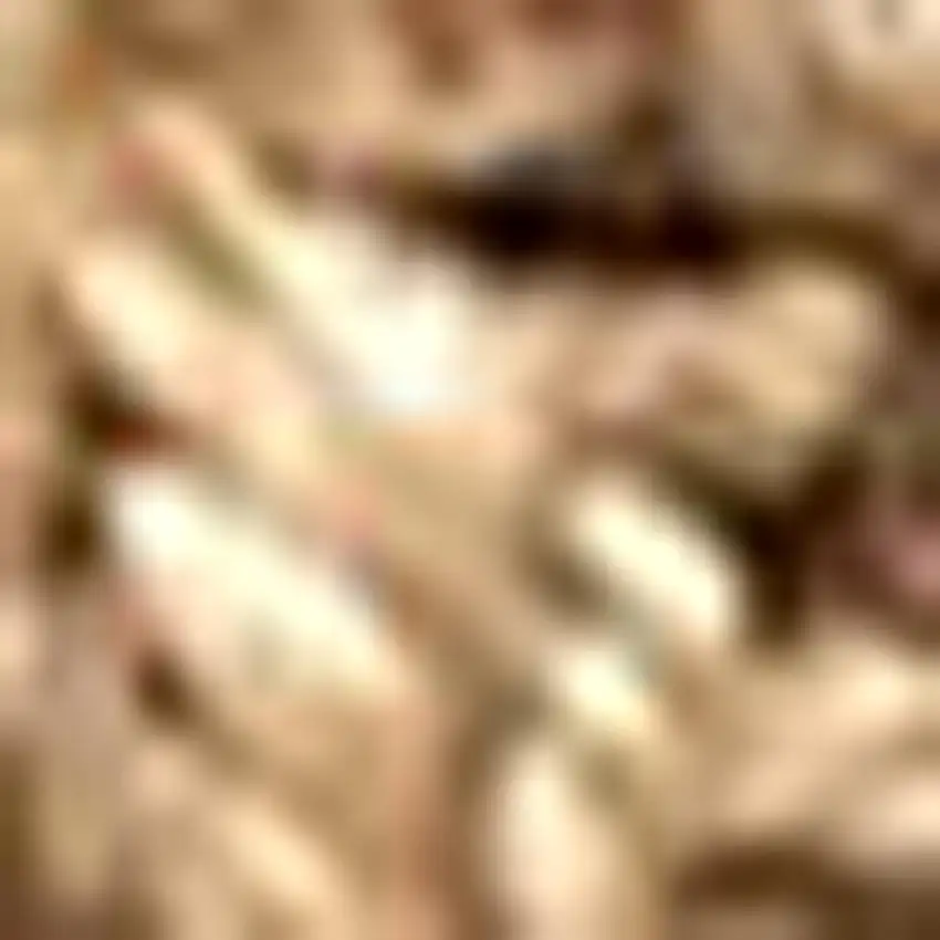 Natural Jute Handmade Area Rug Photo 3