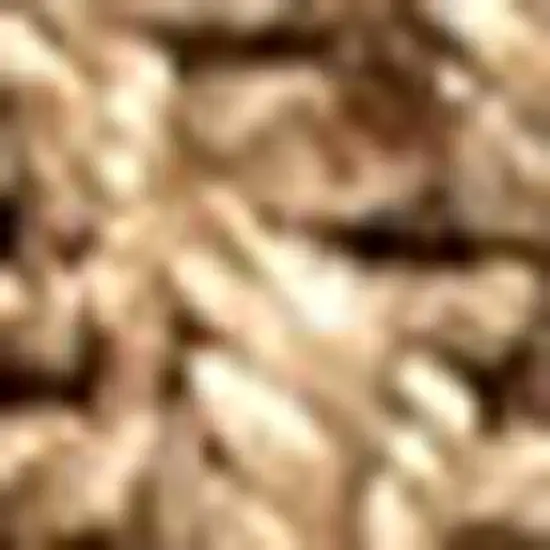 Natural Jute Handmade Area Rug Photo 4