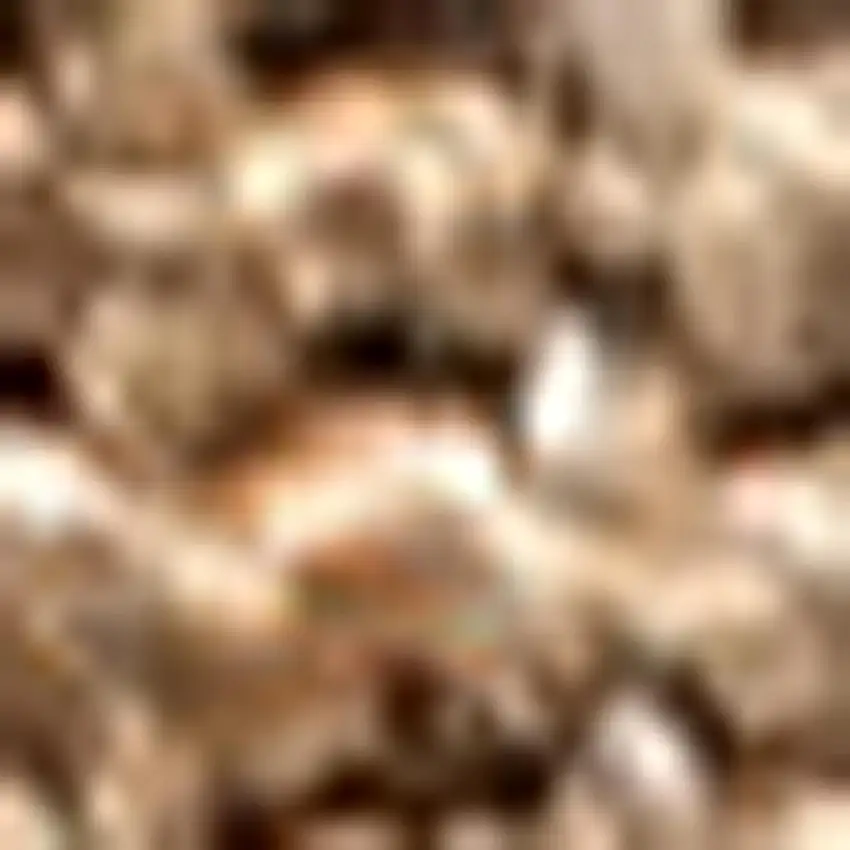 Natural Jute Handmade Area Rug Photo 3