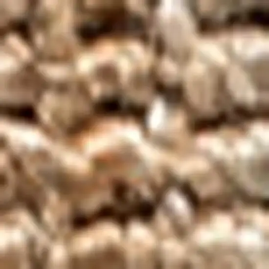 Natural Jute Handmade Area Rug Photo 3