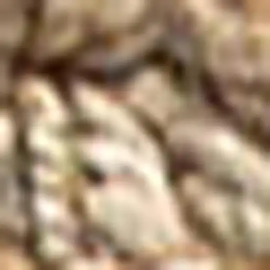 Natural Jute Handmade Area Rug Photo 3