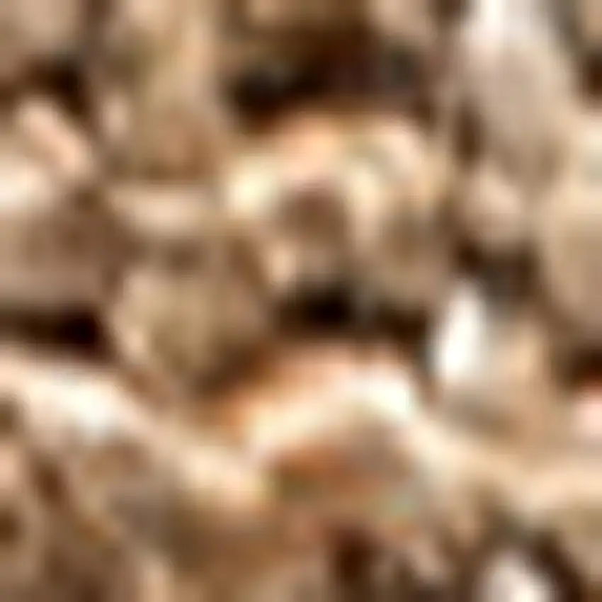 Natural Jute Handmade Area Rug Photo 3