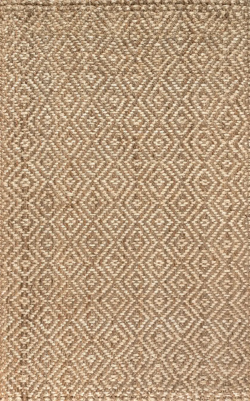 Natural Jute Handmade Area Rug Photo 2