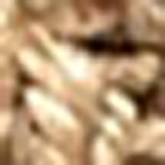 Natural Jute Handmade Area Rug Photo 2