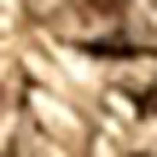 Natural Jute Handmade Area Rug Photo 2