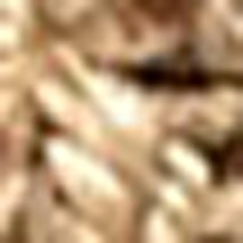 Natural Jute Handmade Area Rug Photo 2