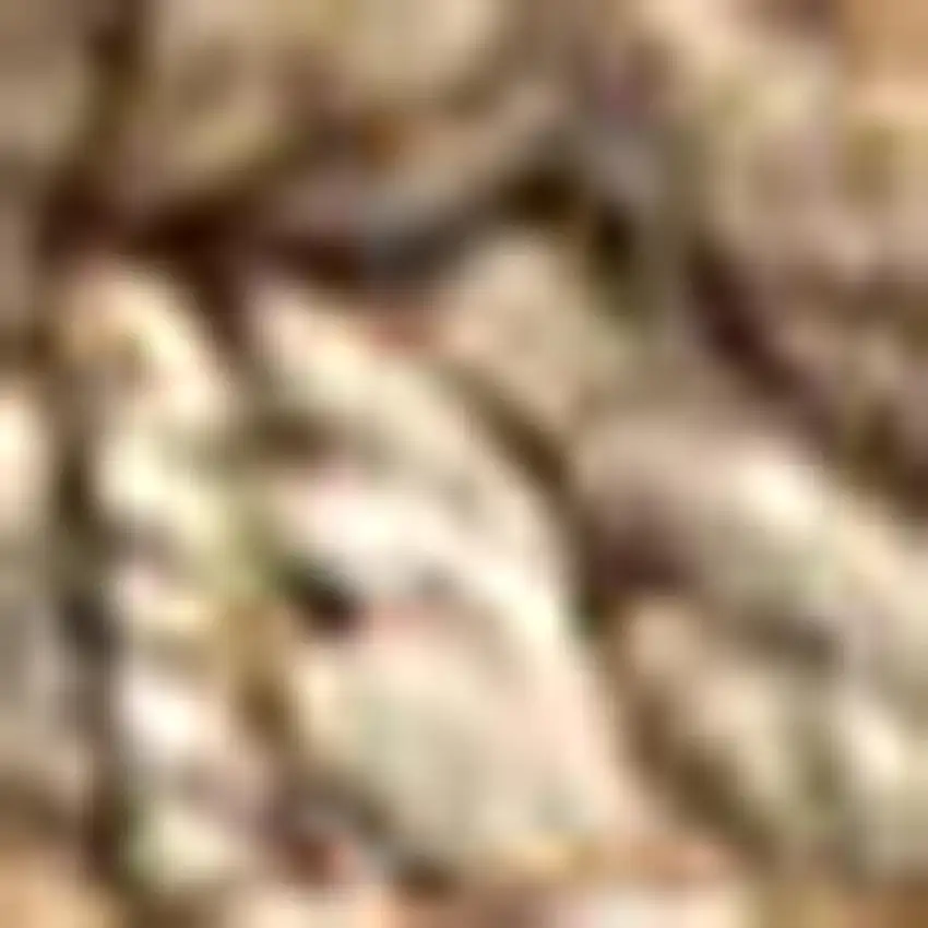 Natural Jute Handmade Area Rug Photo 3