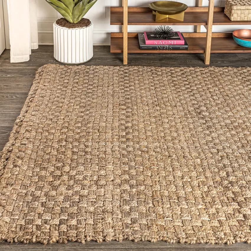 Natural Jute Handmade Area Rug Photo 6