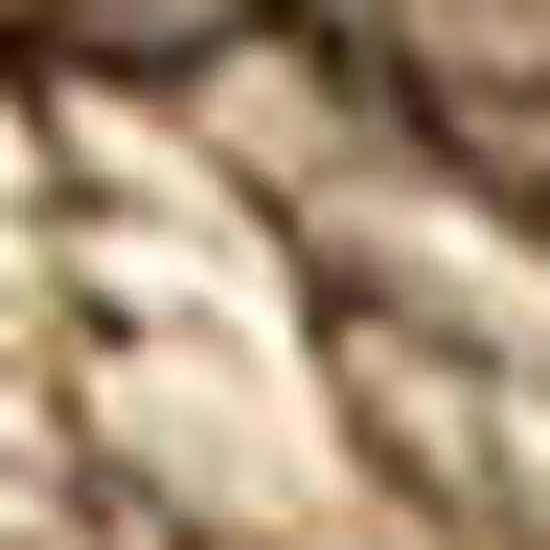 Natural Jute Handmade Area Rug Photo 3