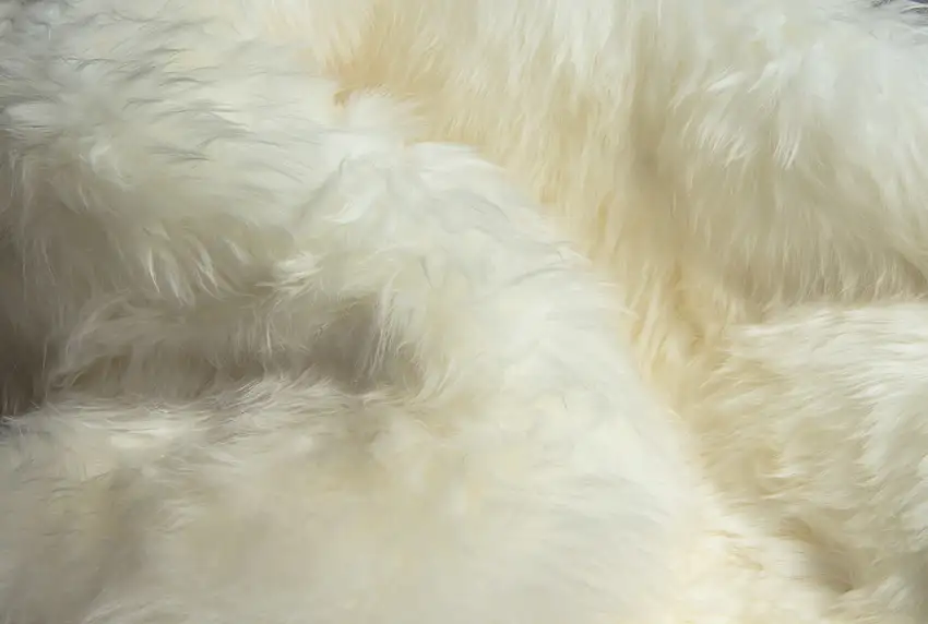 Natural New Zealand Sheepskin Wool Area Rug in White Photo 2