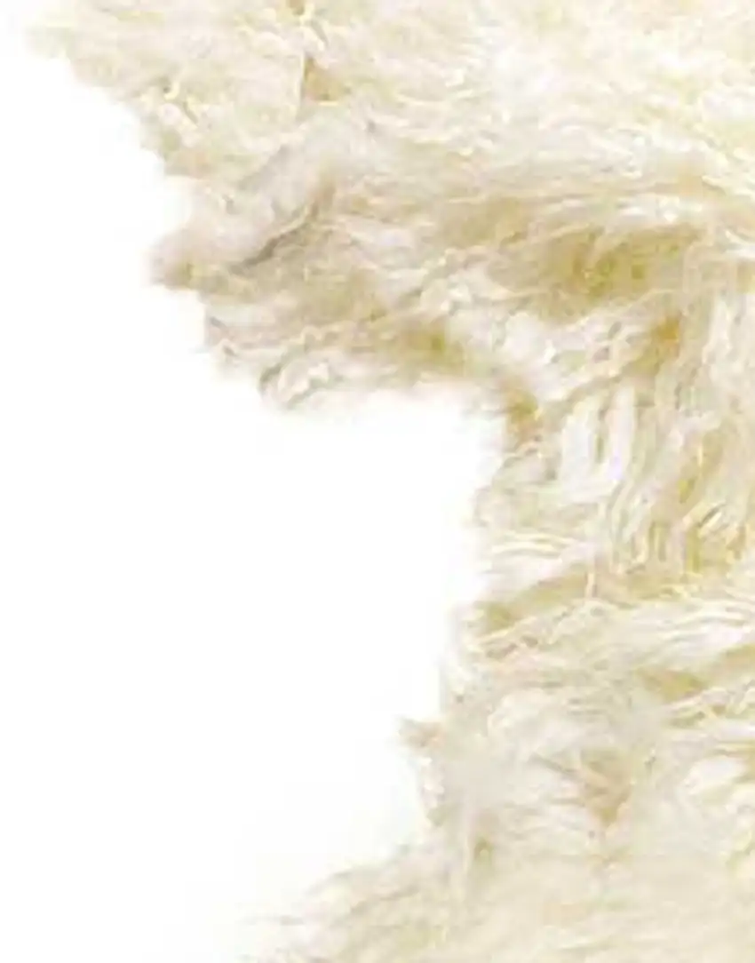 Natural New Zealand Sheepskin Wool  Area Rug Photo 5