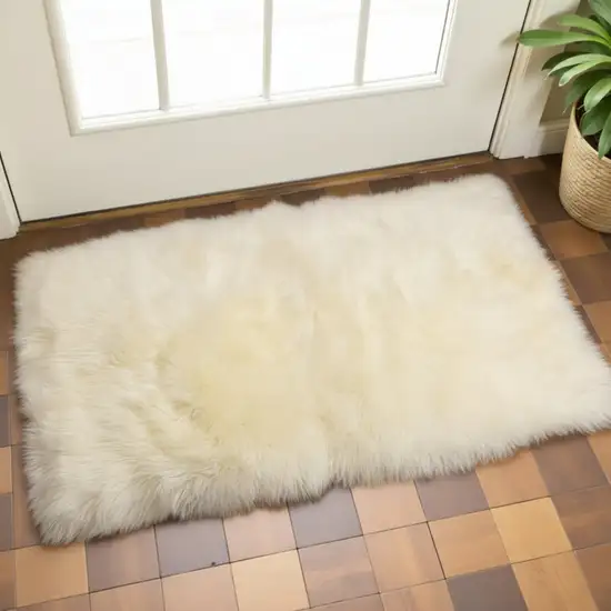 Natural Rectangular Sheepskin Area Rug Photo 1