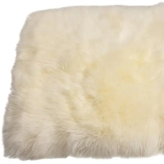Natural Rectangular Sheepskin Area Rug Photo 2