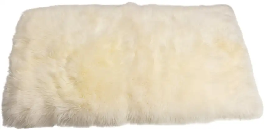 Natural Rectangular Sheepskin Area Rug Photo 1