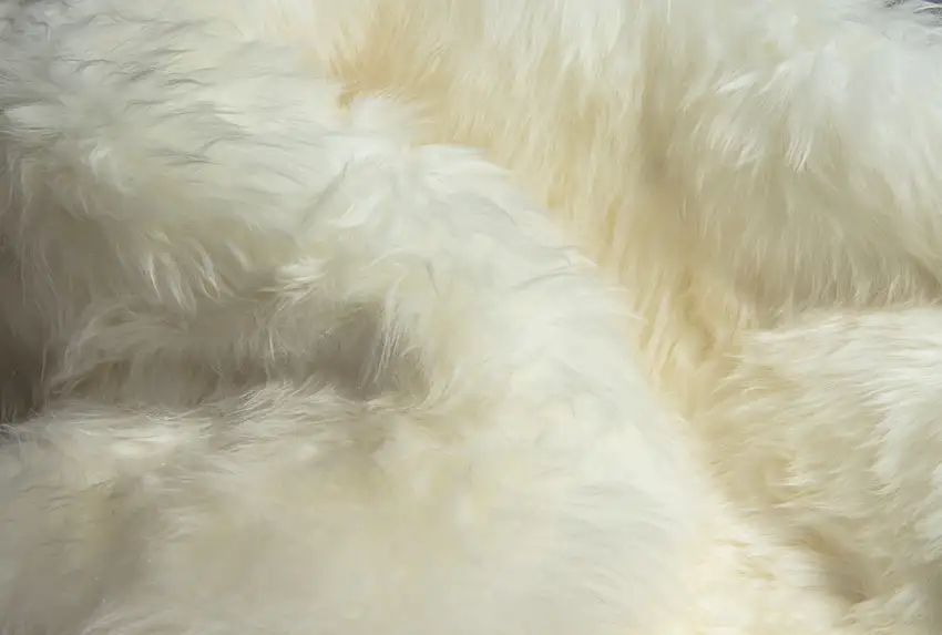 Natural Sheepskin Wool Area Rug Photo 2